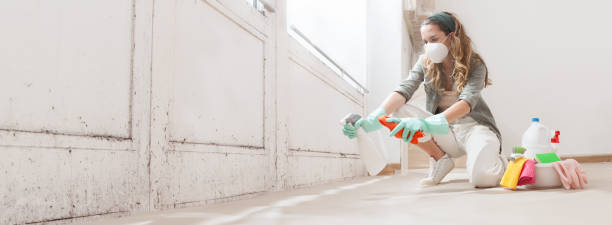 Trusted Chesterbrook, PA Mold Inspection, Removal & Remediation Experts